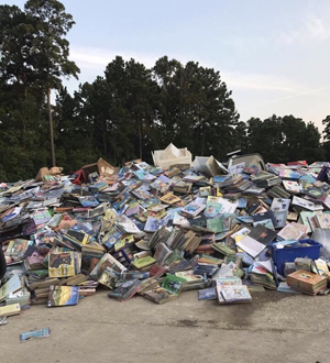 Harvey Library Damage