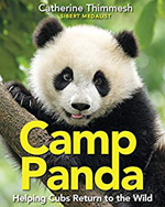 Camp Panda