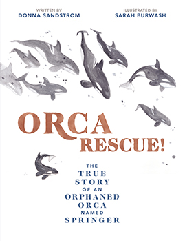 Orca-Rescue