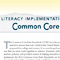 CCSS Guidelines