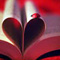 Valentine's Day Book