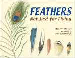Feathers Not Just for Flying | Reading Today Online