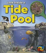 look inside a tide pool